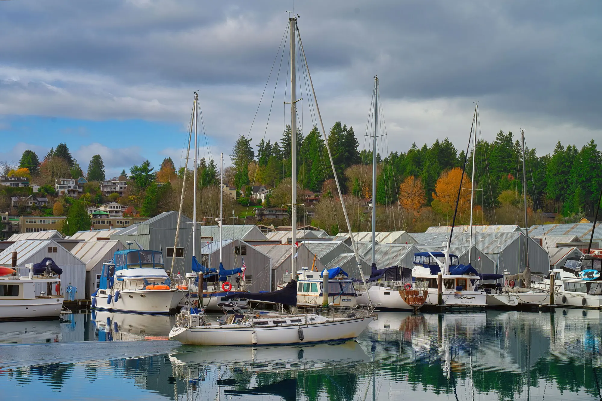 Sailboats and boathouses in Olympia's harbor under a grey autumn sky, with evergreens and fall color on the hill behind