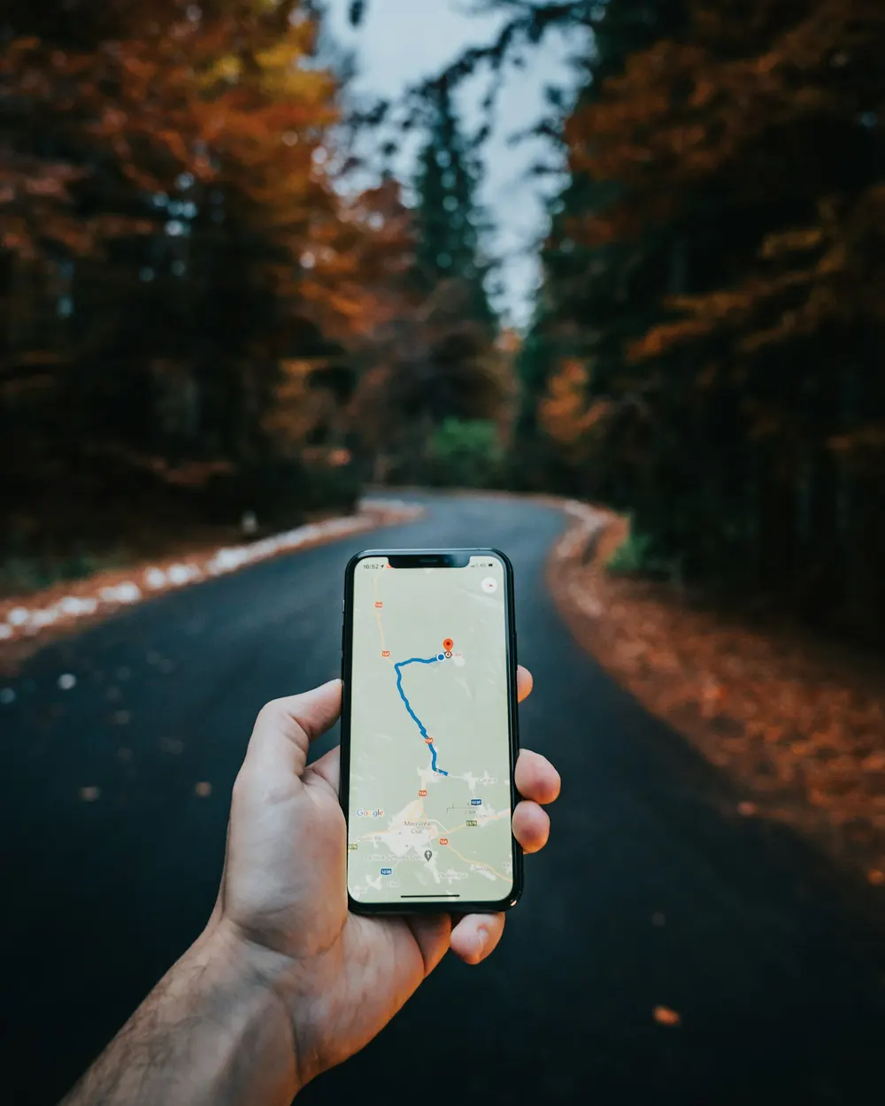 A phone showing a map route, held up on a forest road